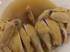 -鹭园酒家·四十年老字号