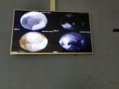 -重庆际华园室内极限运动中心