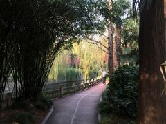 -兰溪青年公园