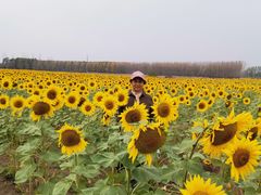 -哈尔滨音乐公园