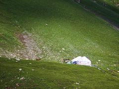 -新疆那拉提国家旅游度假区