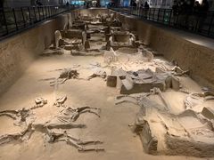 -洛阳周王城天子驾六博物馆