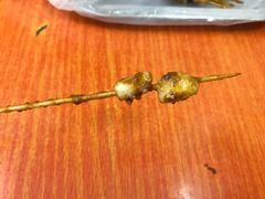 鱿鱼坨-十里铺铁板鱿鱼