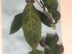 -湘约东方·湘约和港·湖南家常菜·宴请(民星路店)