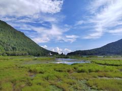 -腾冲北海湿地