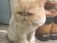 -小时光咖啡馆(开森度假森林店)