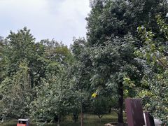 -元大都城垣遗址公园