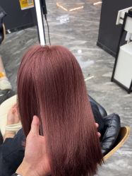 -藤野造型
