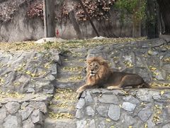 -北京海洋馆