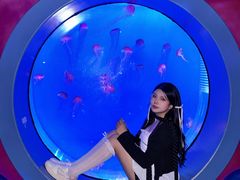 -海合安武汉极地海洋公园
