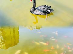 -梧桐人家中国太平国际健康颐养社区