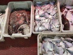 水产区-桃源市场(解放路店)