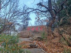 -灵岩山风景区