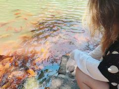 -楠溪江风景名胜区