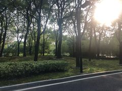-苏州金鸡湖大酒店
