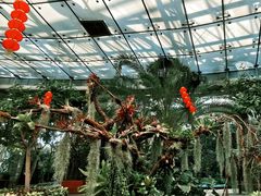 -北京植物园-展览温室