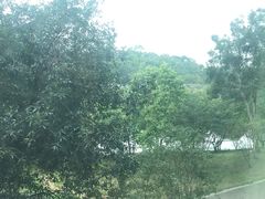 -华南理工大学(大学城校区)