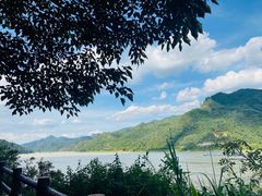 -羚羊峡古栈道森林公园