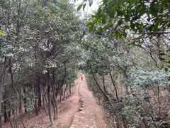-树山生态村