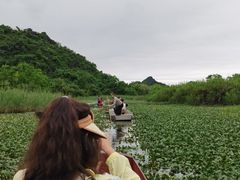 -会仙湿地