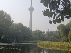 -莲花池公园