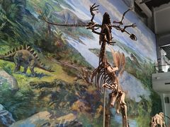 -自贡恐龙博物馆