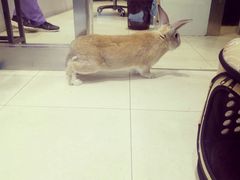 -雨林宠物医院 非犬猫异宠专科