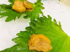 活海胆-万岛日本料理铁板烧(太古里店)
