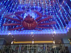 -蟹之国·精品蟹料理(极地店)