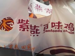 -紫燕百味鸡(明湖店)