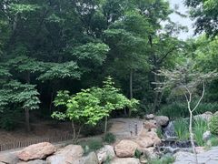 -大连植物园