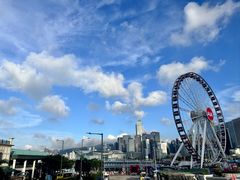 -澳洲牛奶公司(佐敦店)