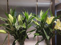 -鑫小城故事·藕汤·家常菜(台北一路总店)