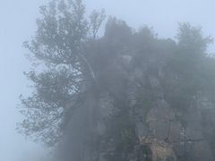 -神农山景区