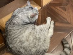 -隅cafe(傅厚岗店)