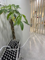 -SKIN79皮肤管理中心