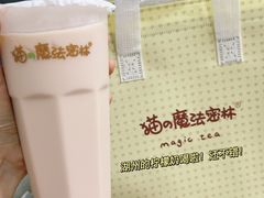-猫的魔法密林(衣裳街店)