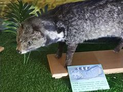 -下渚湖国家湿地公园科普馆