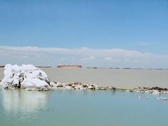 -吴淞炮台湾湿地森林公园烧烤区