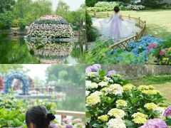 -无锡蠡湖国家湿地公园-蠡园