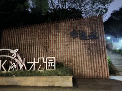 -银湖山郊野公园-相思林
