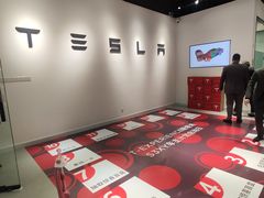 -TESLA 特斯拉(北京颐堤港体验店)