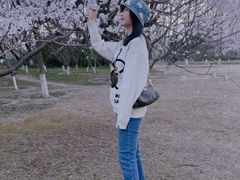 -奥林匹克森林公园北园-停车场