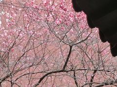 -钱王祠