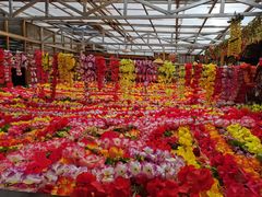 -吉祥圣雪藏餐