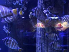 -成都浩海立方海洋公园