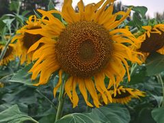 -长春公园(普阳街道)