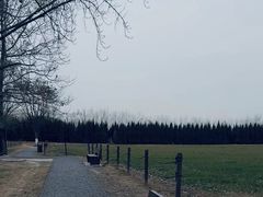 -汉长安城未央宫国家考古遗址公园