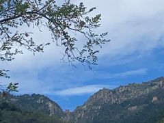 -泰山风景名胜区