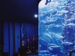 -厦门海底世界